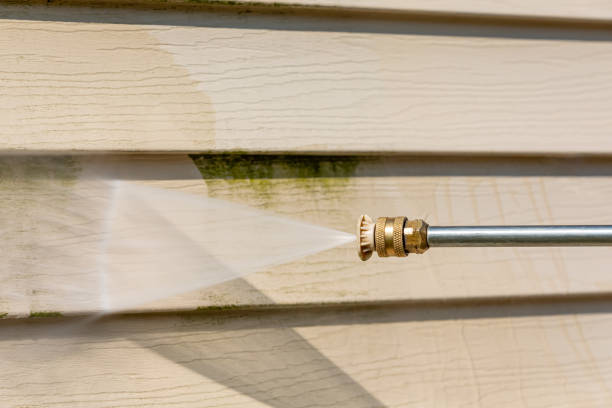 Best Affordable Pressure Washing  in San Pablo, CA